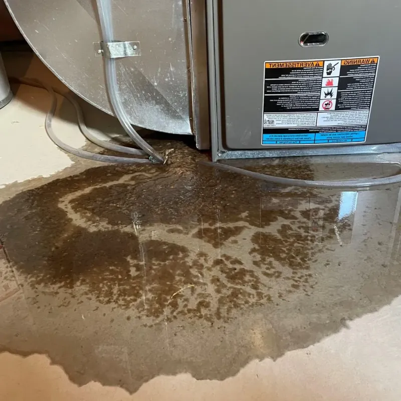 Pipe Burst and Leak Restoration in Westmont, IL