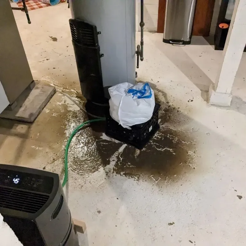 Sewage Backup Cleanup Service in Westmont, IL